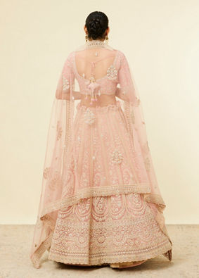 alt message - Mohey Women Light Pink Imperial Paisley Patterned Lehenga image number 4